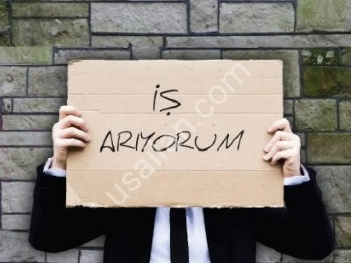 I'm looking for a job