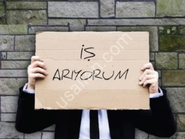 I'm looking for a job